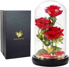 10CMX25CM CHIP LANTERN   (QTY/CTN 24.00  PCS)