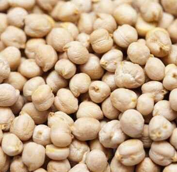 CHICKPEAS 9 MM X 50 LB